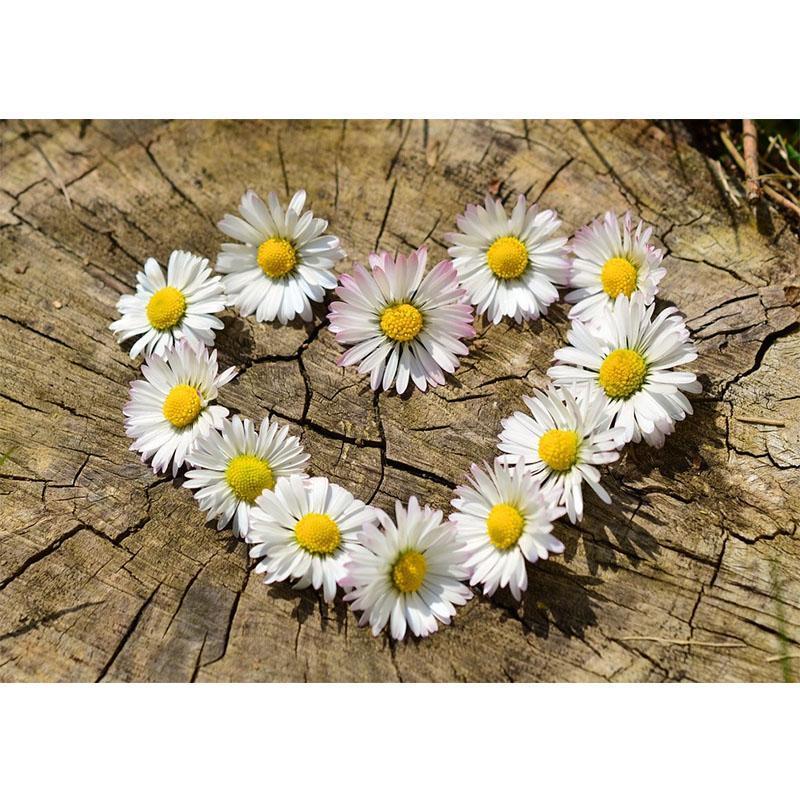 Broderie diamant 5d - Nature et Bien être - 100% de confort 100% de Bien-être -